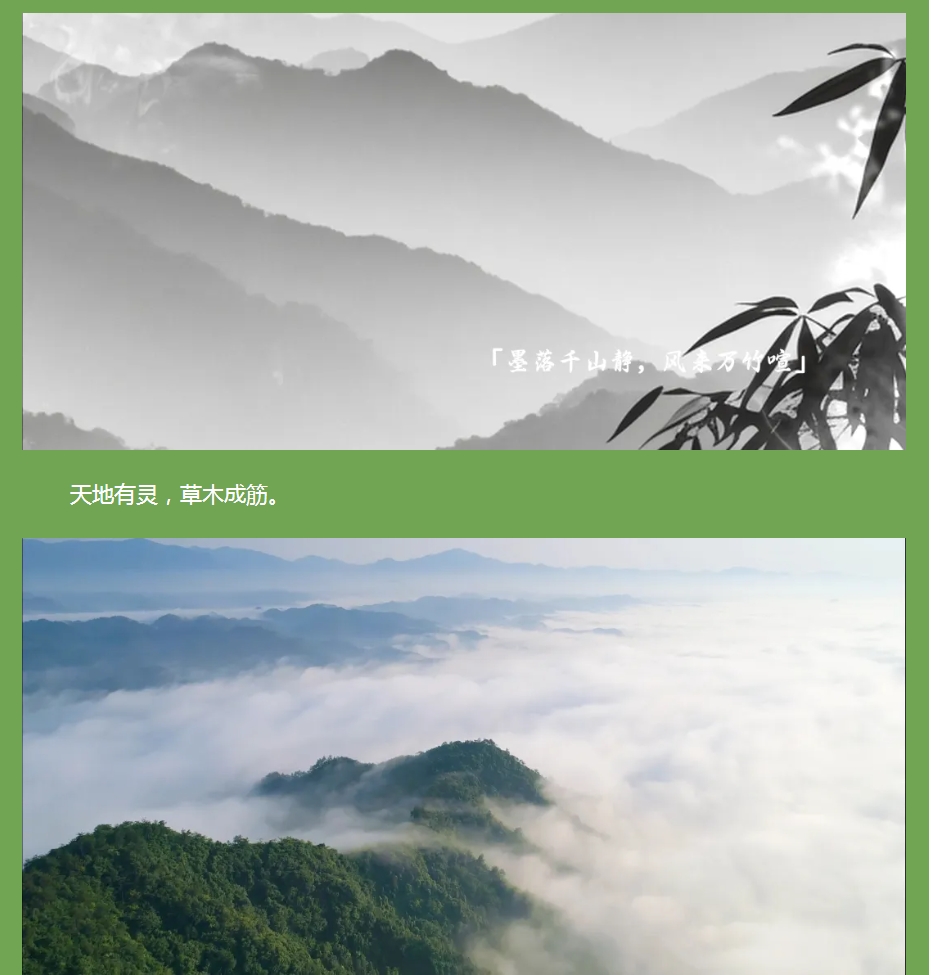 以竹為骨，筑就健康之境 —— 竹筋香韻凈化板